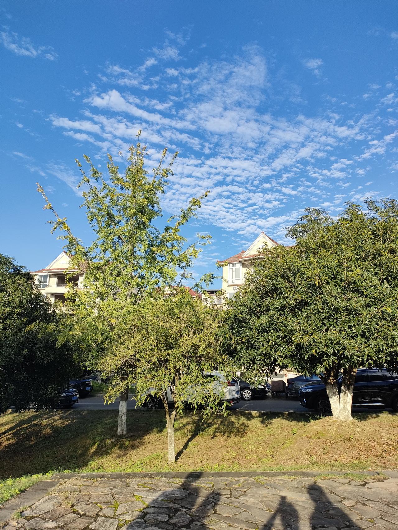 今天值得庆祝的一天。今天是自学游泳的第六天，终于成功解锁蛙泳技能，能够游一个单边