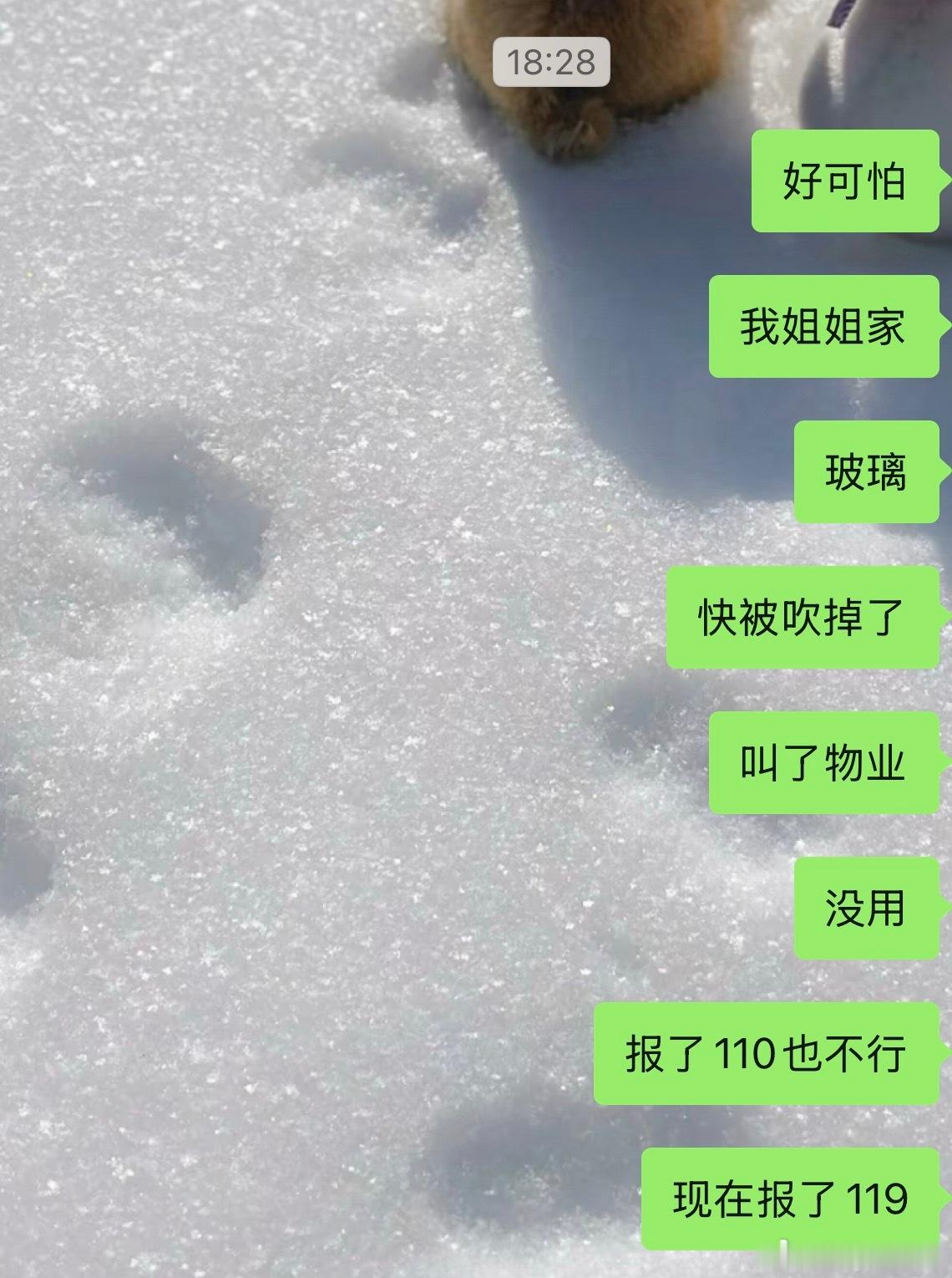 这台风夸张了。 