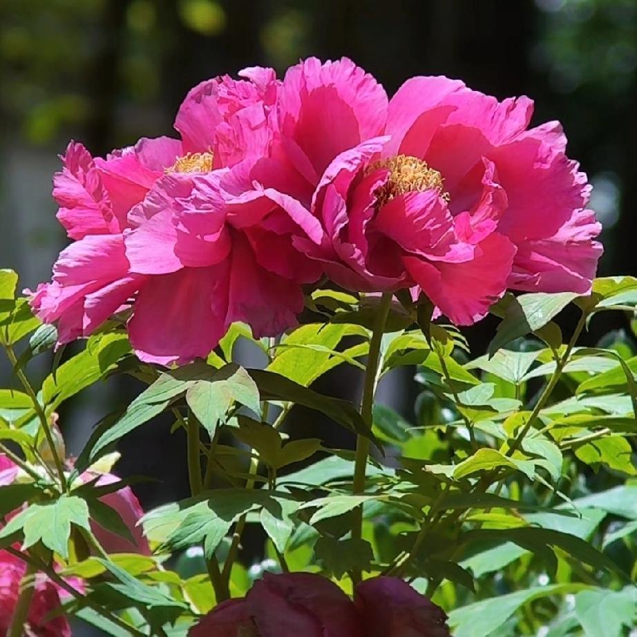 后来才懂，沉默是成年人最后的体面。
 
很多关系走到最后，不是不爱了，而是累了。