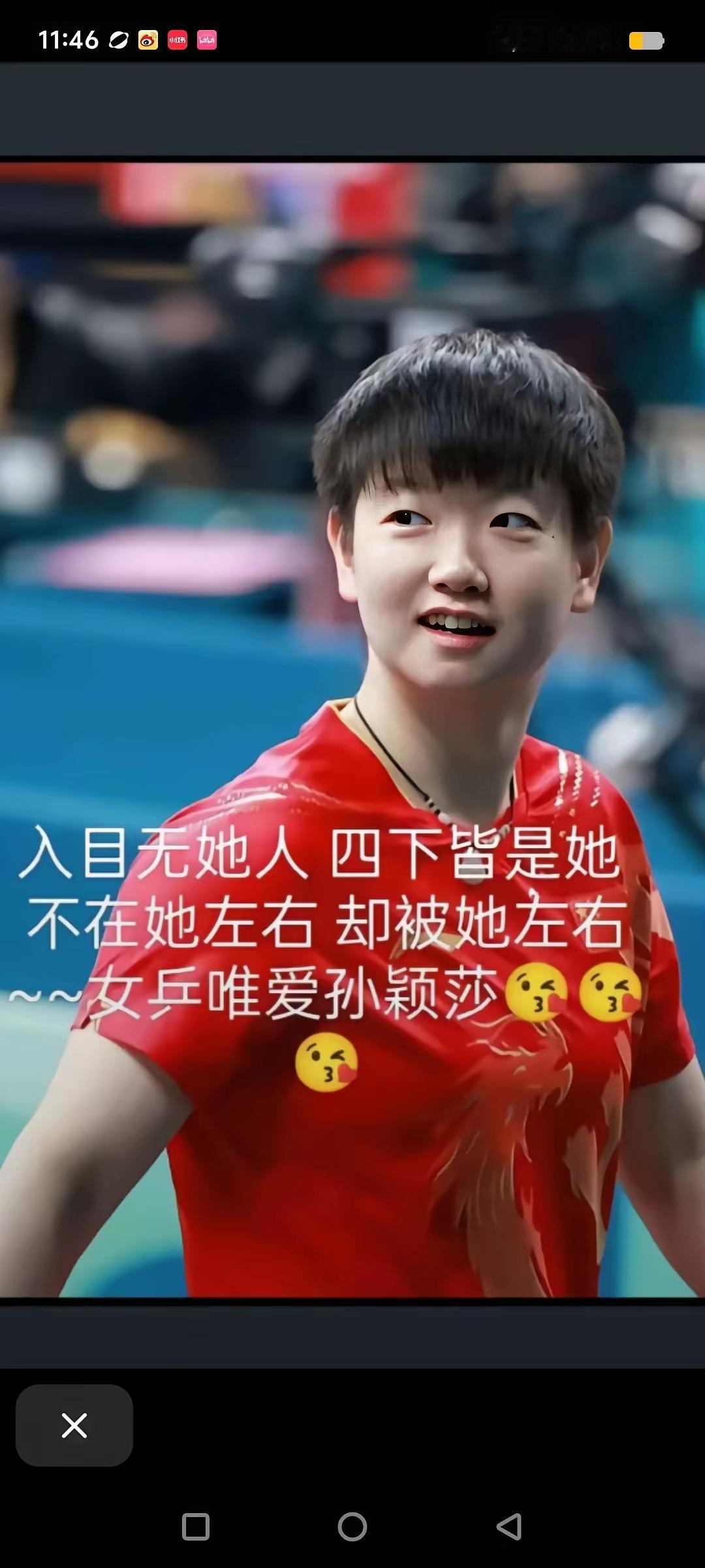 说得真好：
入目无她人
四下皆是她
不在她左右
却被她左右

我想说：
冠军不是