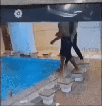 不知深浅，俯冲入水，折颈撞头，不出事才怪。生活中盲目行动，往往事与愿违。