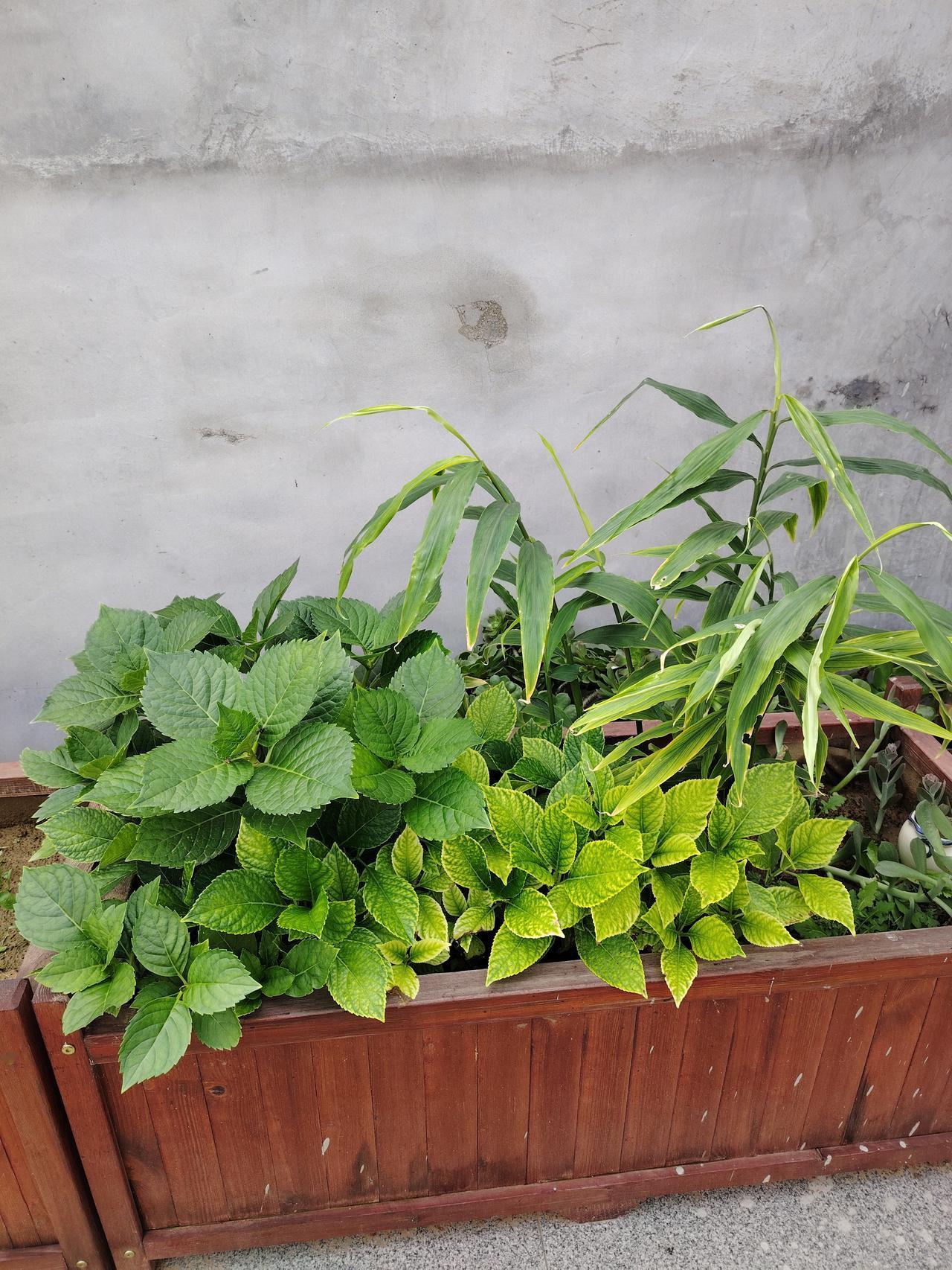 小县城这房价，真是惊掉下巴！[震惊][震惊][震惊]

小区群里，挂出来的最新房