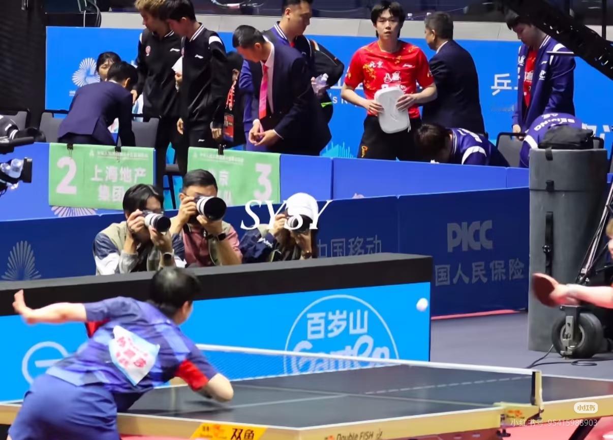 都说王楚钦在国家队的时候是牛马，
到了北京队也是牛马，哈哈，
只有在魏桥的时候能