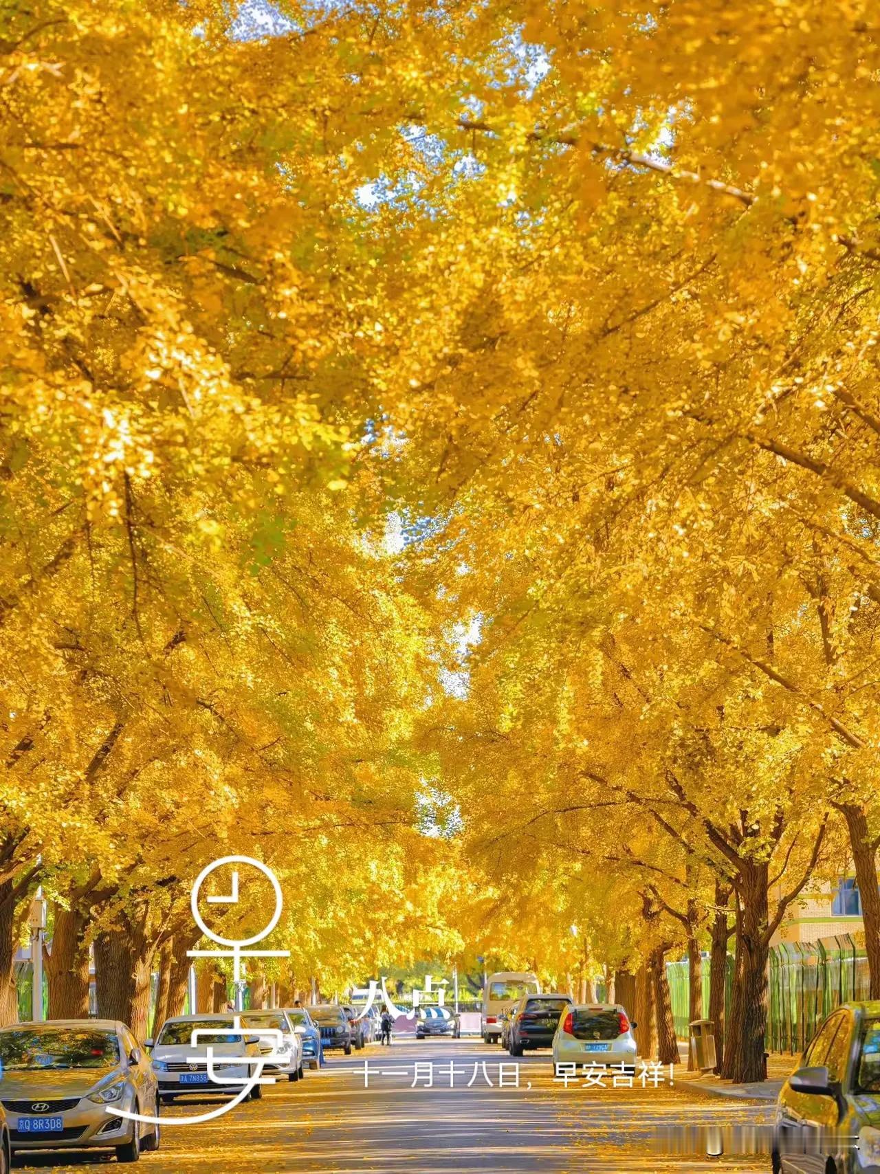 十一月十八日，星期一，早安吉祥！