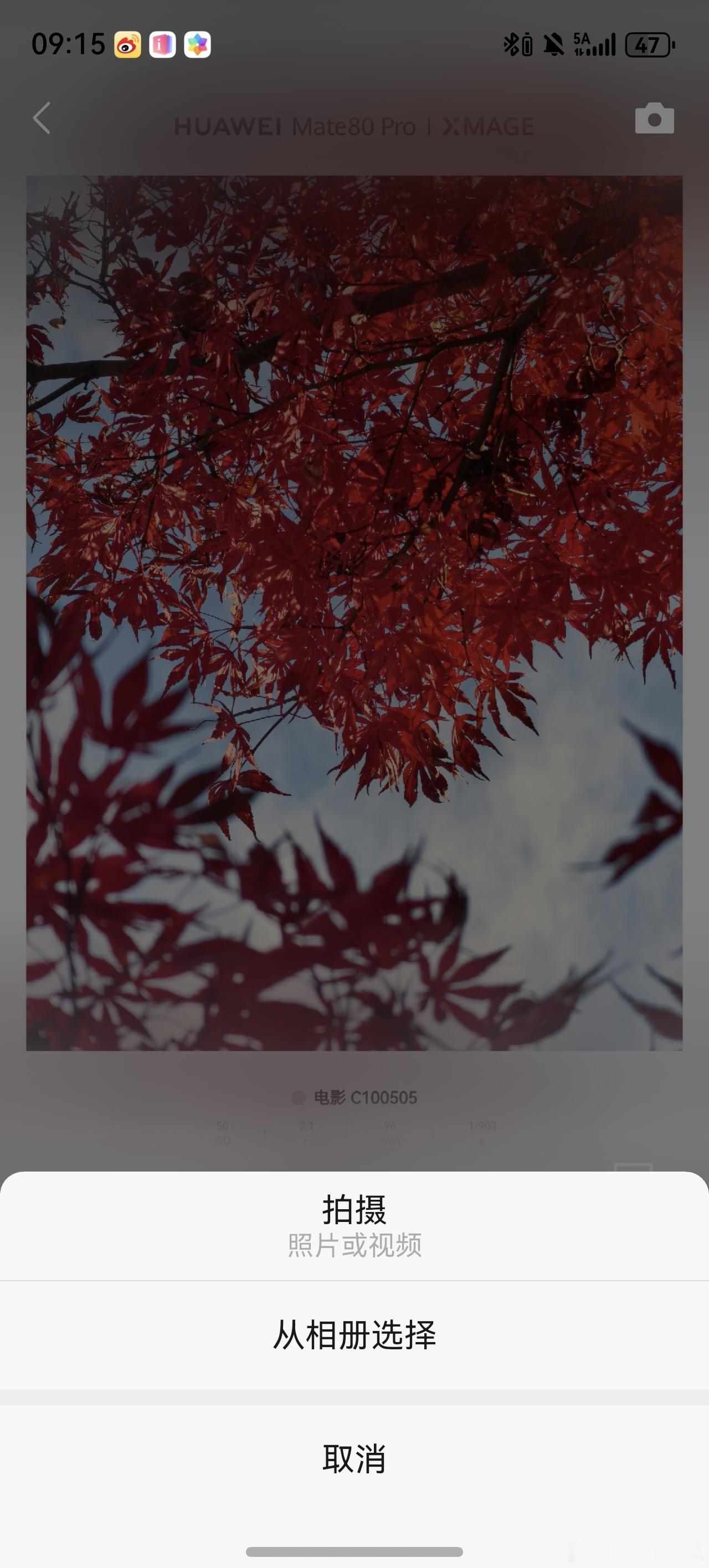 汪苏泷录的微信朋友圈背景视频哈……我一直认为朋友圈的背景只能放照片原来也可以放视