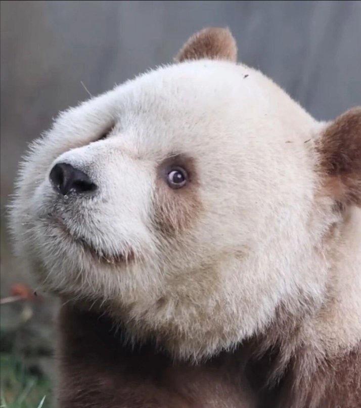 我觉得下周的大盘还是震荡整理，板块会轮动，电网设备和军工体系没问题，起码走几步再