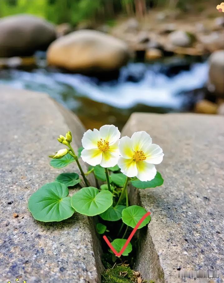 1. 慢慢来，你比自己想象中更有力量～
​
2. 允许偶尔迷茫，但别停下发光的脚