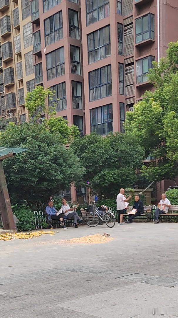 小区广场成“晒场”：民生烟火与公共空间该如何平衡？
 
       每到秋季，