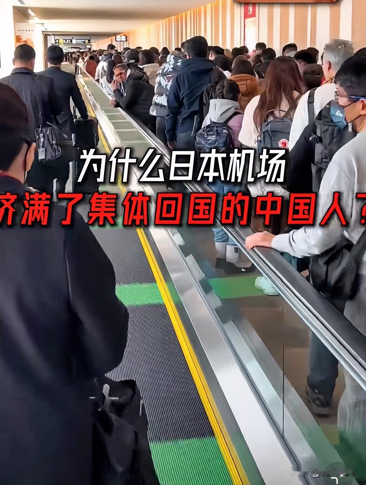 这事越琢磨越觉得后背发凉，简直细思极恐。

刚才看到个通知，说是2026年3月底