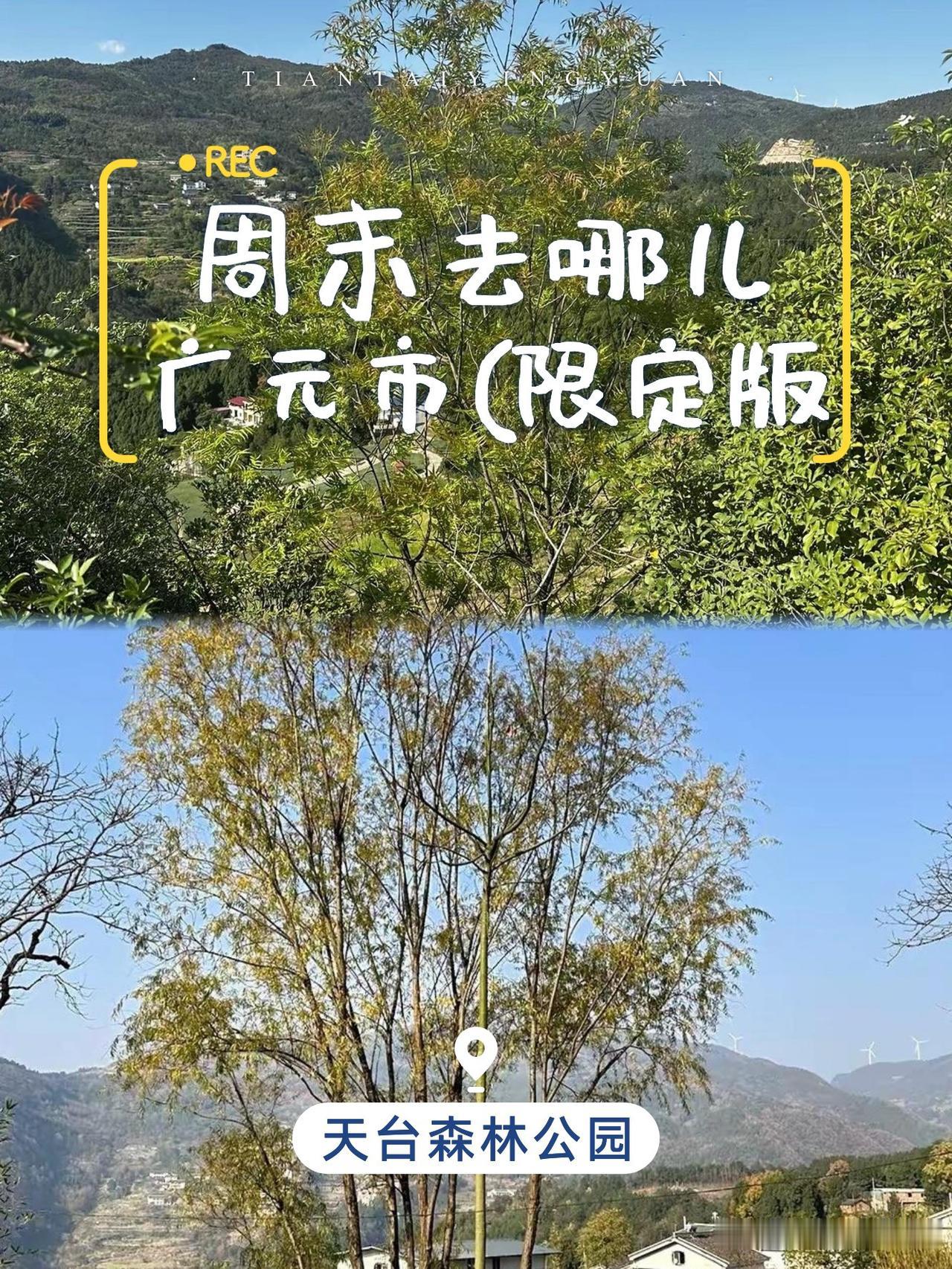 广元天台森林公园一日游保姆级攻略🌳

谁说川东北没有“天然氧”？本地人私藏的天