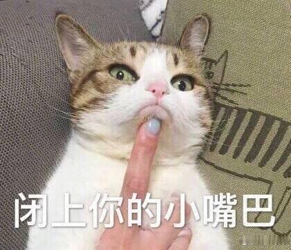 成长是轮到我陪爸爸看世界杯了从前爸爸哄着年幼的我熬夜看球，现在工作再忙也抽空回家
