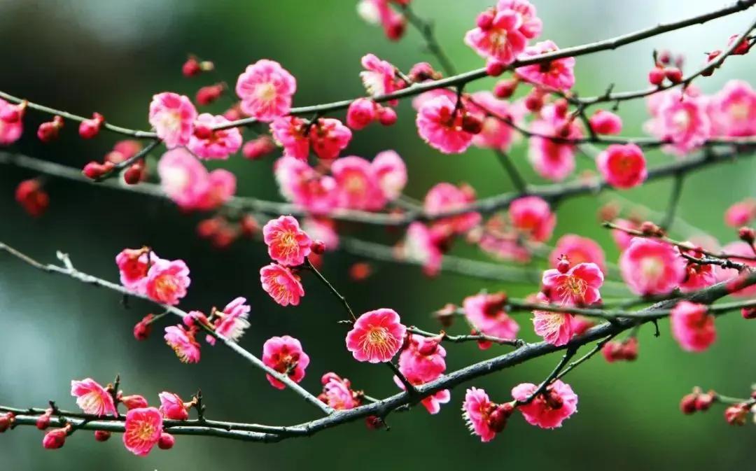 美国和周边国家的关系同中国与周边国家关系相比较。
一，美国
1，与俄罗斯关系很不