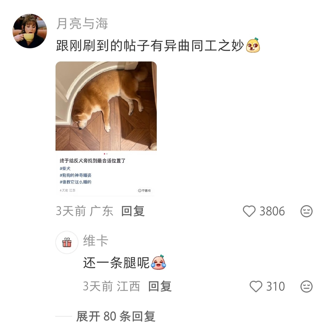 总算搞明白了这种铁栅栏的用途