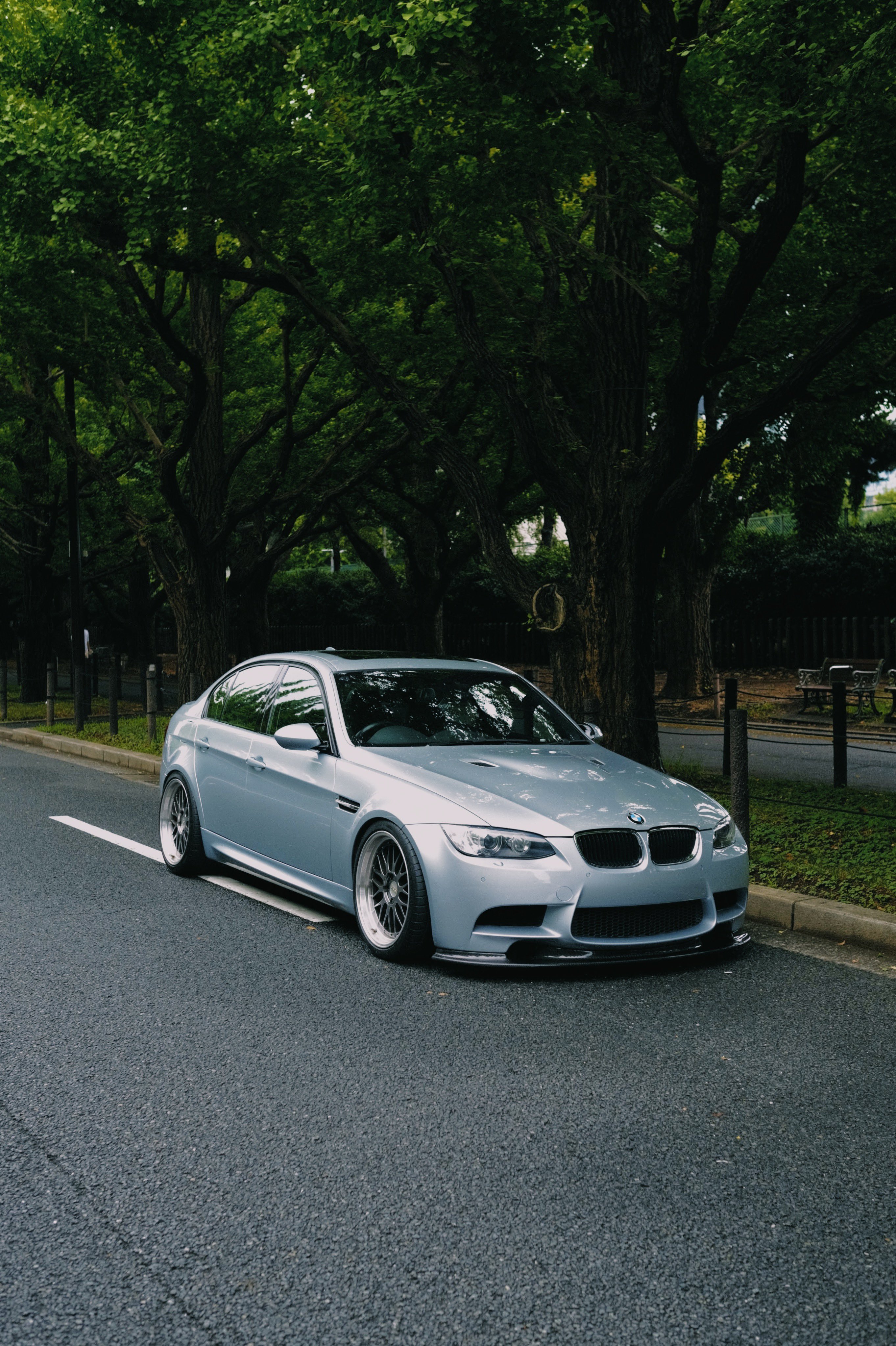 分享图片 ​​​