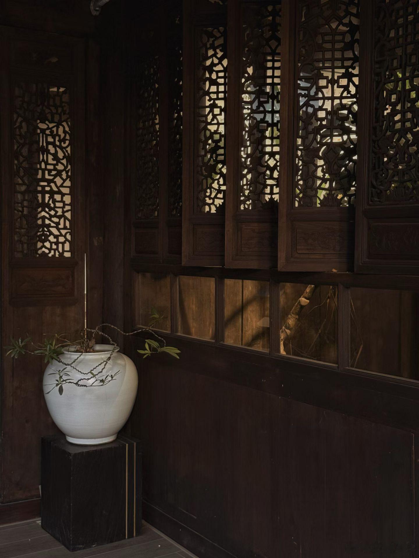 午后的一缕阳光，治愈心灵空间的艺术·这些美的瞬间，都是注入你生命的微小能量· 