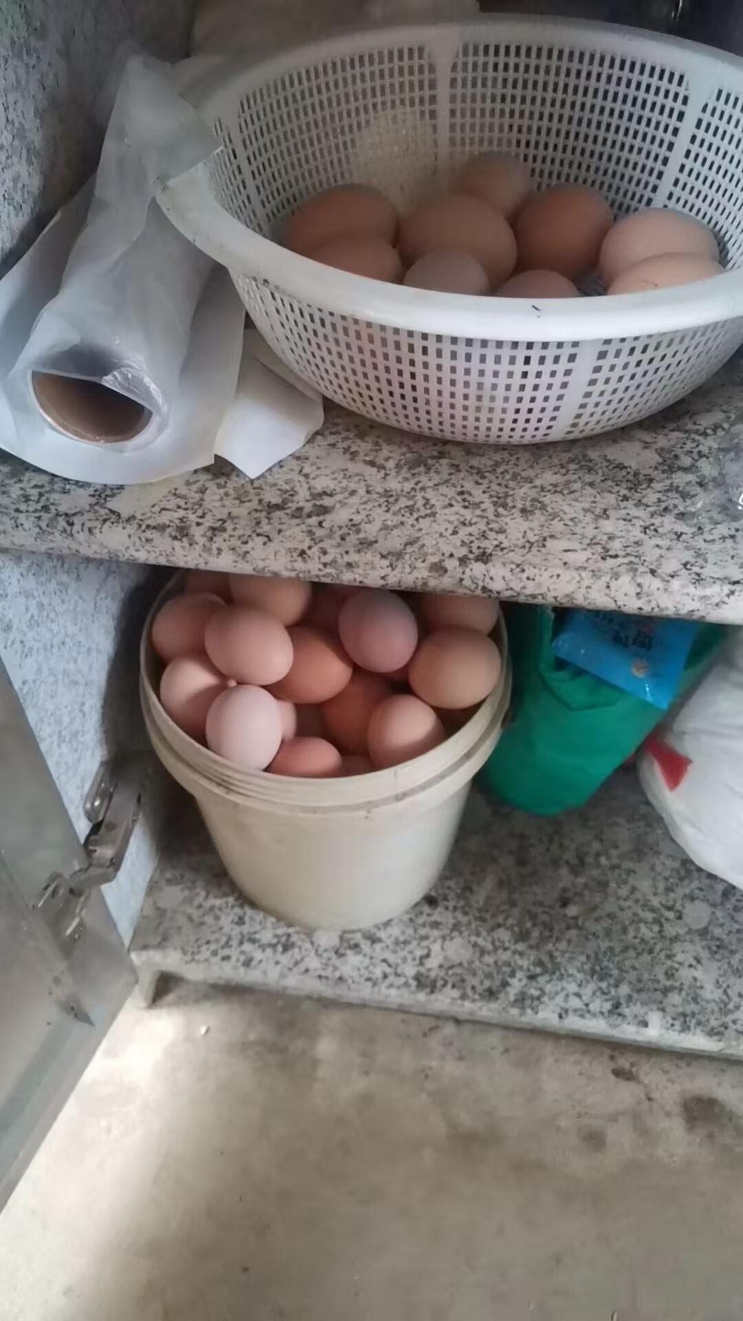 中秋两手拎满，没见爸妈给我拿点自家母鸡下的土鸡蛋，而哥哥嫂嫂两手空空回来，却能把