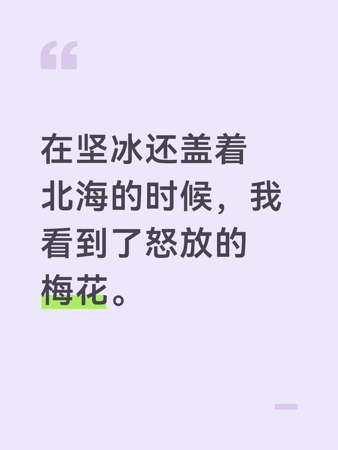 在坚冰还盖着北海的时候，我看到怒放的梅花