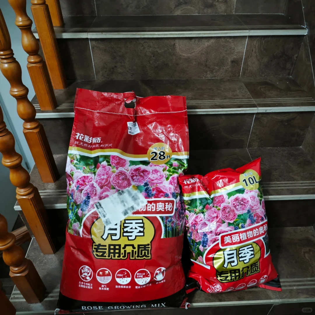 双十一唯一囤货