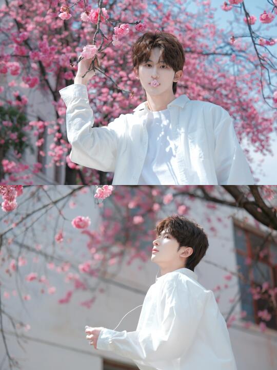 春有约 花不误🌸