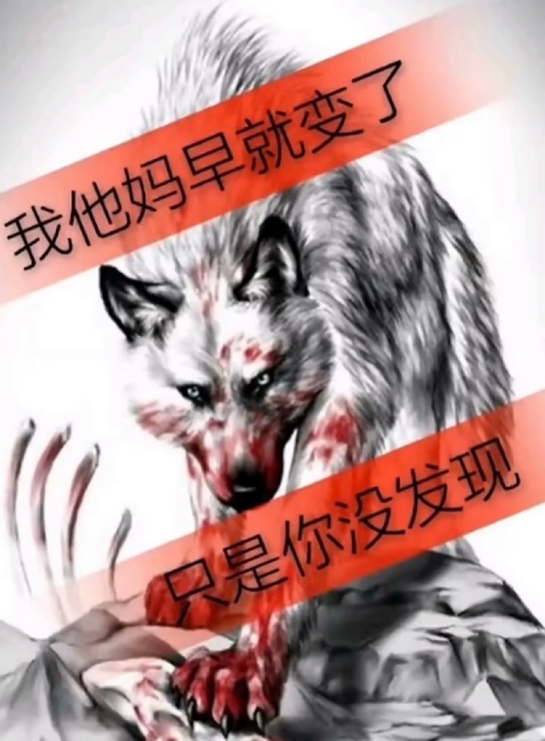 分享图片 
