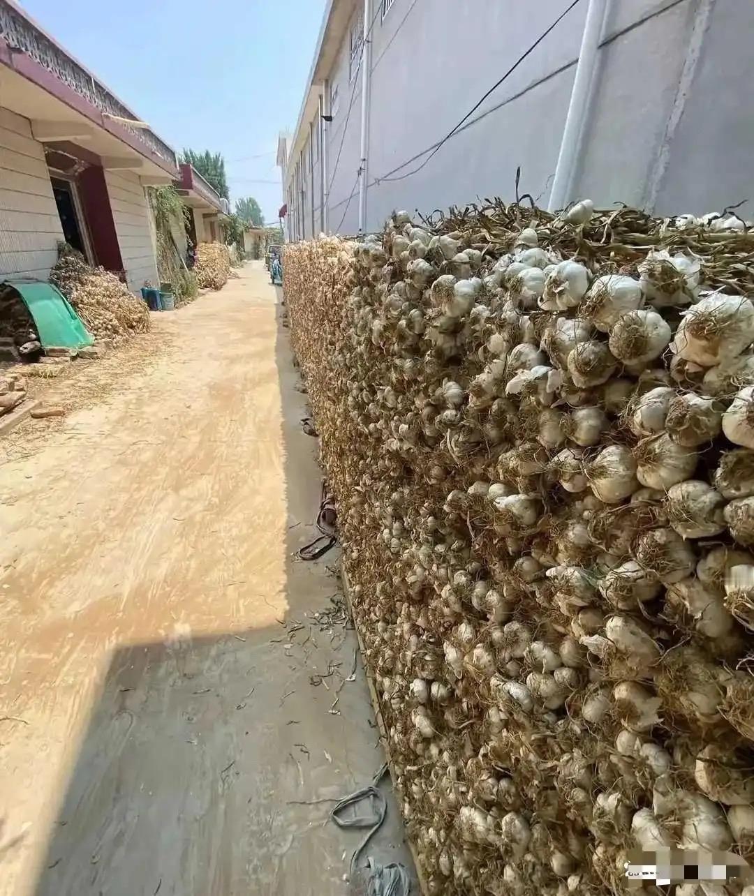 亲妈让我把院子里的这堆东西挂网上卖，我人傻了，这真的有人买吗？