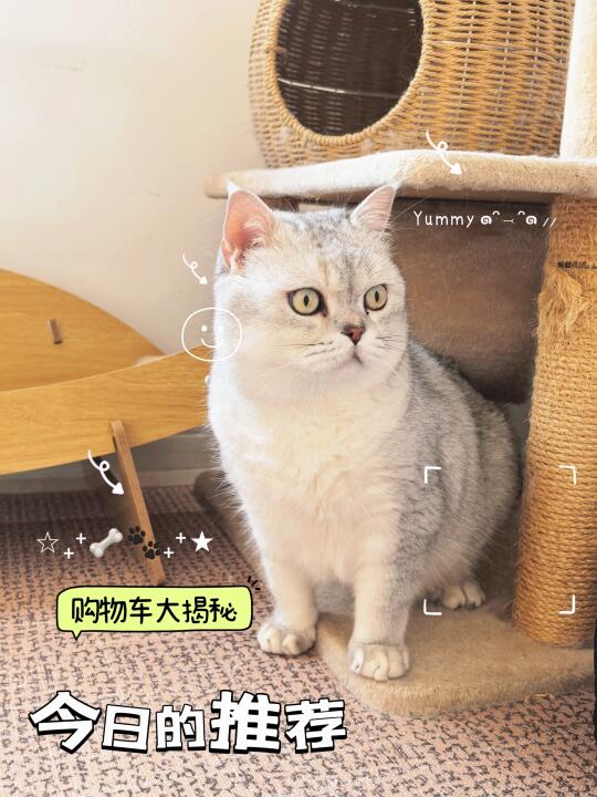 大家最近打开pdd都当心点❗❗❗