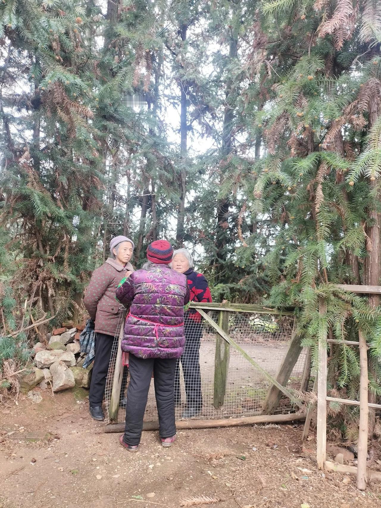 活人都能给尿憋死啊！今天我和阿姨们去一个男邻居家串门，聊了很久我们几个女的都有尿