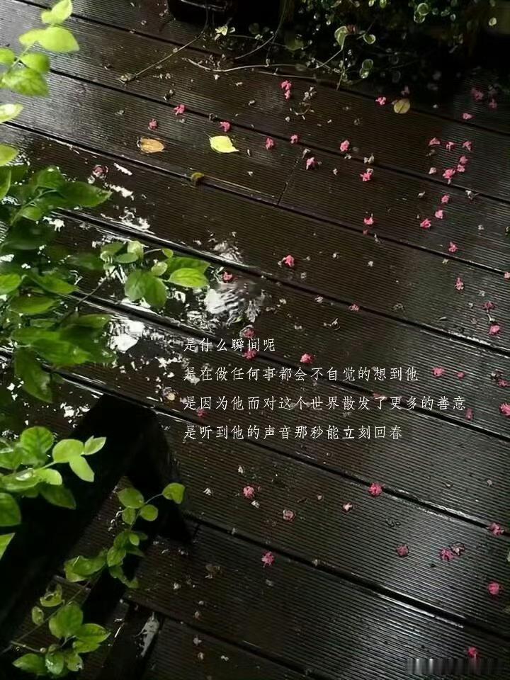 生日当天被魔法和真心同时眷顾岁岁生辰，既有浪漫氛围感加持，又满是身边人藏不住的温