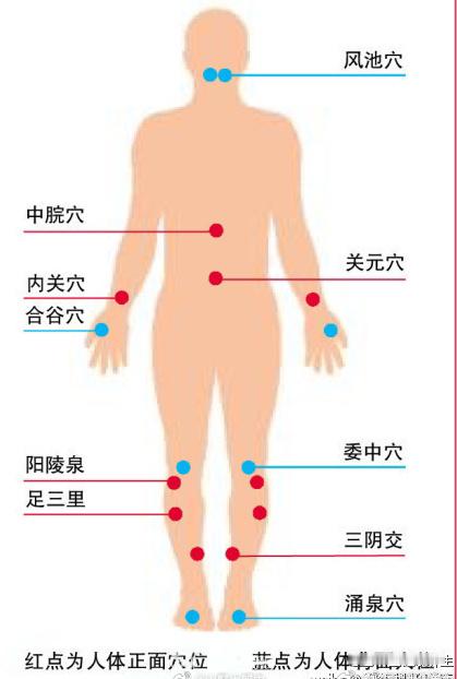 #中医##育儿专家说# 【人体十大养生穴】1.明目醒脑穴：风池。2.养胃穴：中脘