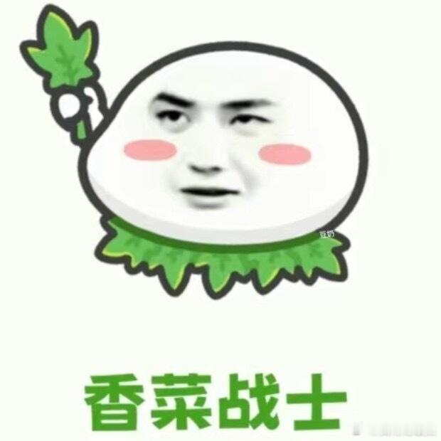 别说绿色衣服了 💚光是绿色王一博雨伞我都买了三把 一把比一把好看