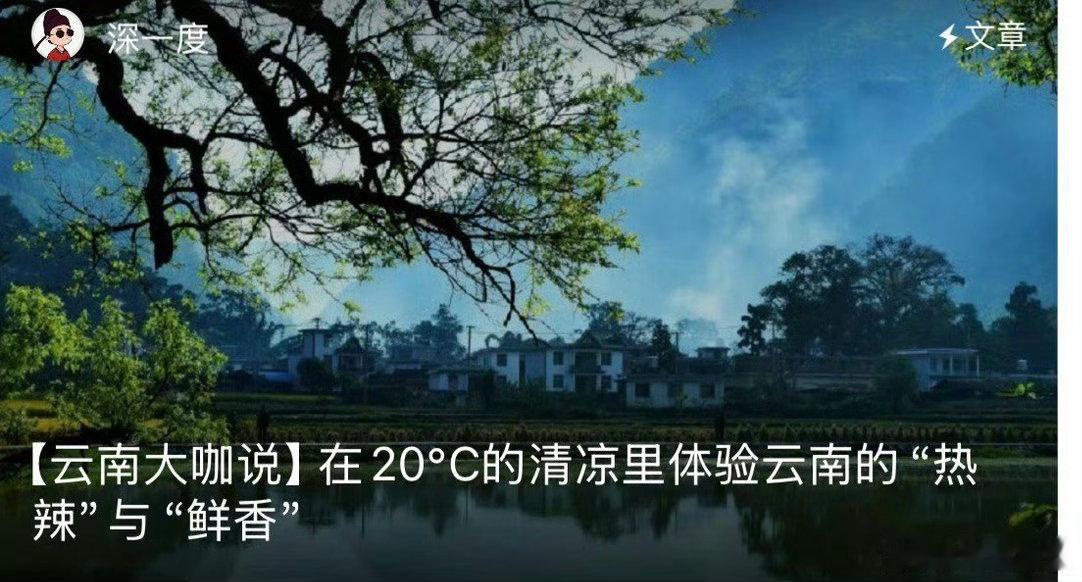 暑期游云南当别处的夏天被35℃的热浪裹挟，云南正以20℃的温柔接住所有远道而来的