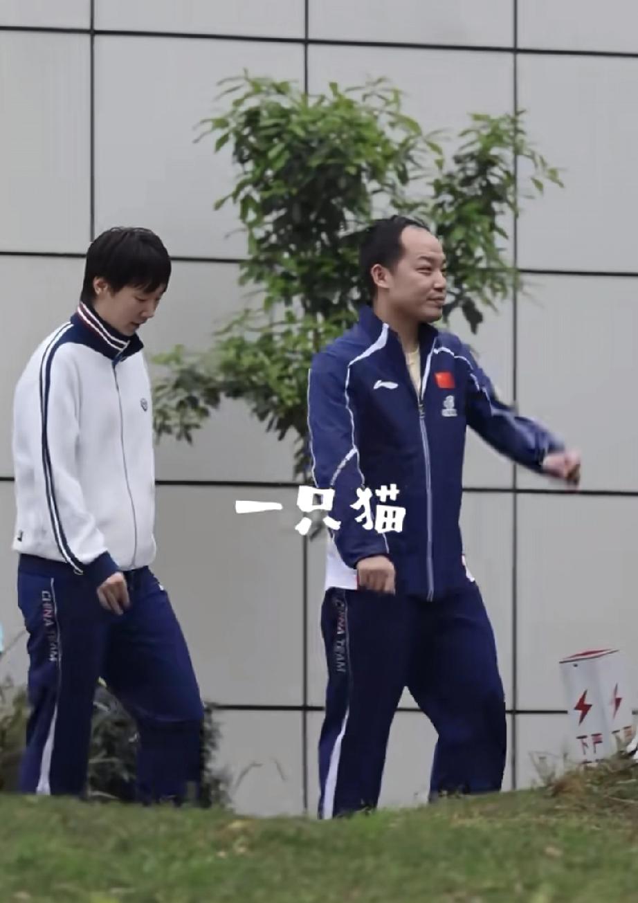 成都国乒训练基地，国乒女队今日举行伦敦团体世乒赛参赛资格队内第二次选拔赛，蒯曼获