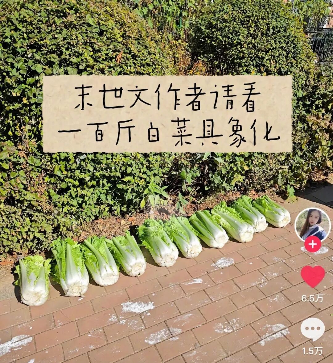囤白菜的计量单位是车 ​​​