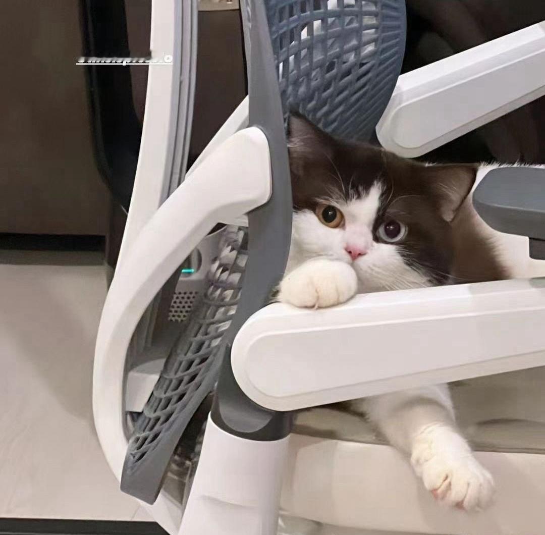 今天皮可乐过生日呐～小🐷怎么也没动静呐？～（可能还没睡醒） 