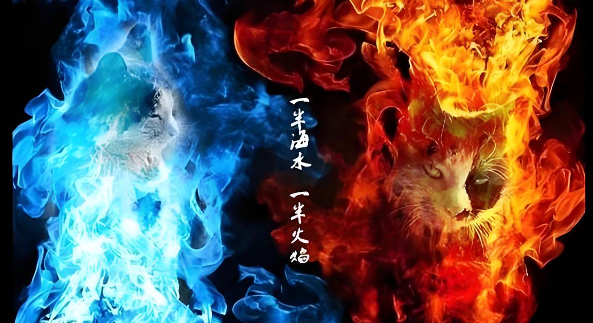 马斯克：AI+Robots will be able to do everyth