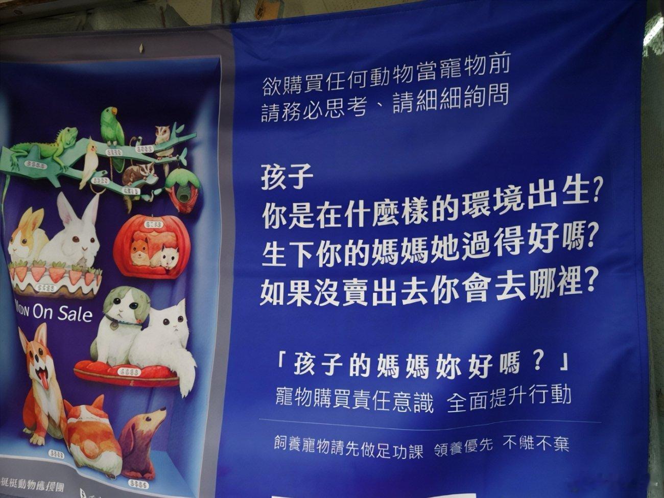 母亲节，台湾的毛孩子领养海报买任何动物做宠物前，先想清楚，问三个问题：1.牠是在