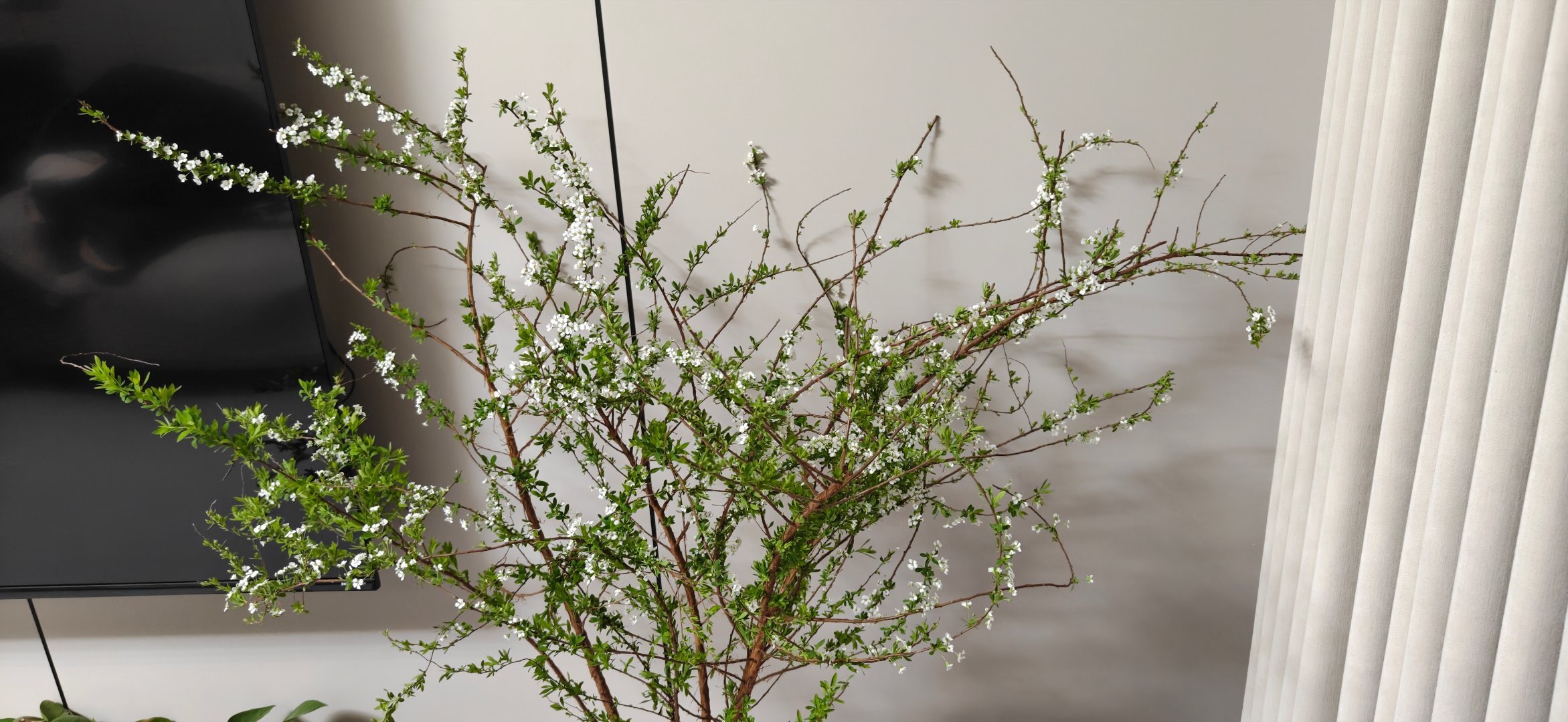 🔖²⁰²⁶/₀₂.₀₄  🌱𝒔𝒑𝒓𝒊𝒏𝒈 ♥ '͜' 𓈒𓏸春