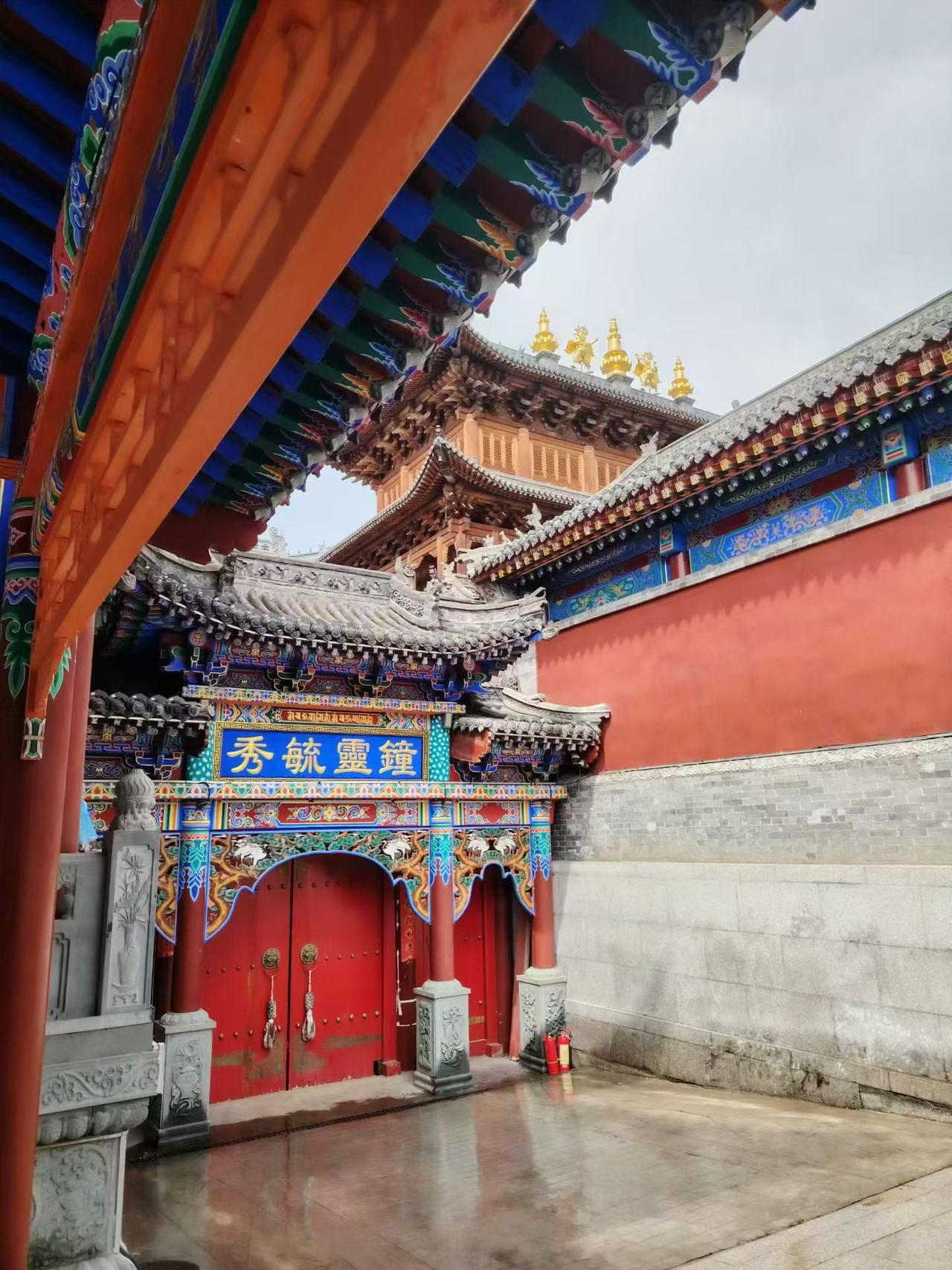 寺庙才是欲望最重的地方，你有没有发现去寺庙的人是带着最浓烈欲望去的？求财的希望今