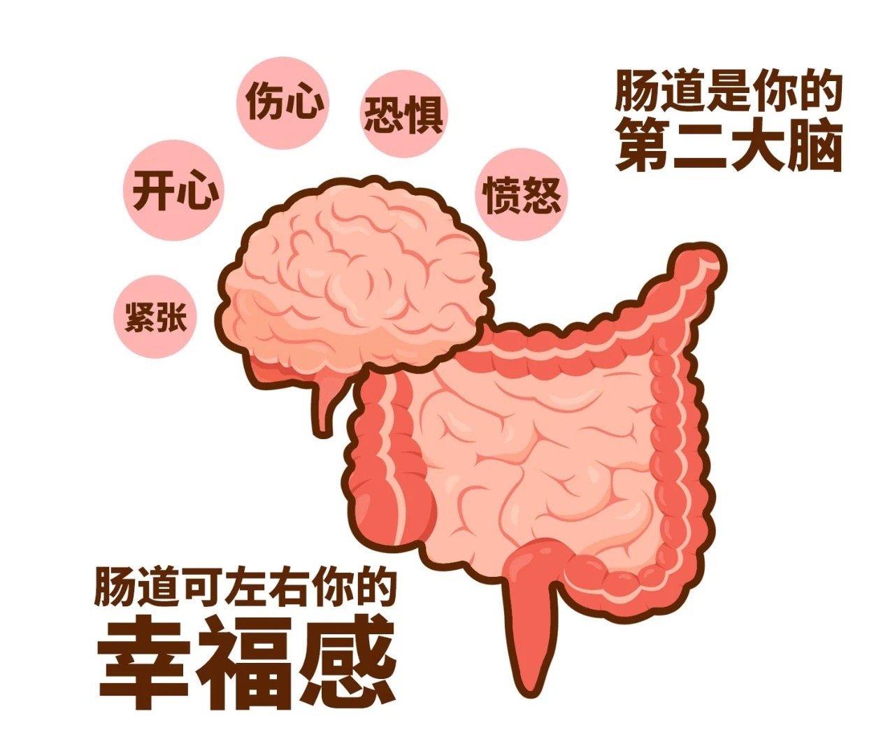 #明天上班可能出现的症状##这个问题吃什么##微博健康公开课# 懂“肠”识，告别