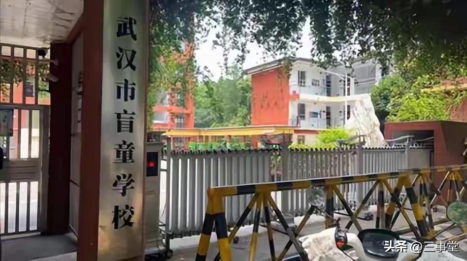 13年前遭遇横祸双目失明，如今考出721分拿下全国第一！苦难压不垮内心有光的少年