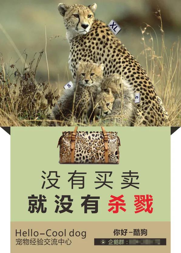 法律专家说‘吸毒只是治安违法，不是犯罪！’
＊保护珍稀野生动物的公益广告词这样说