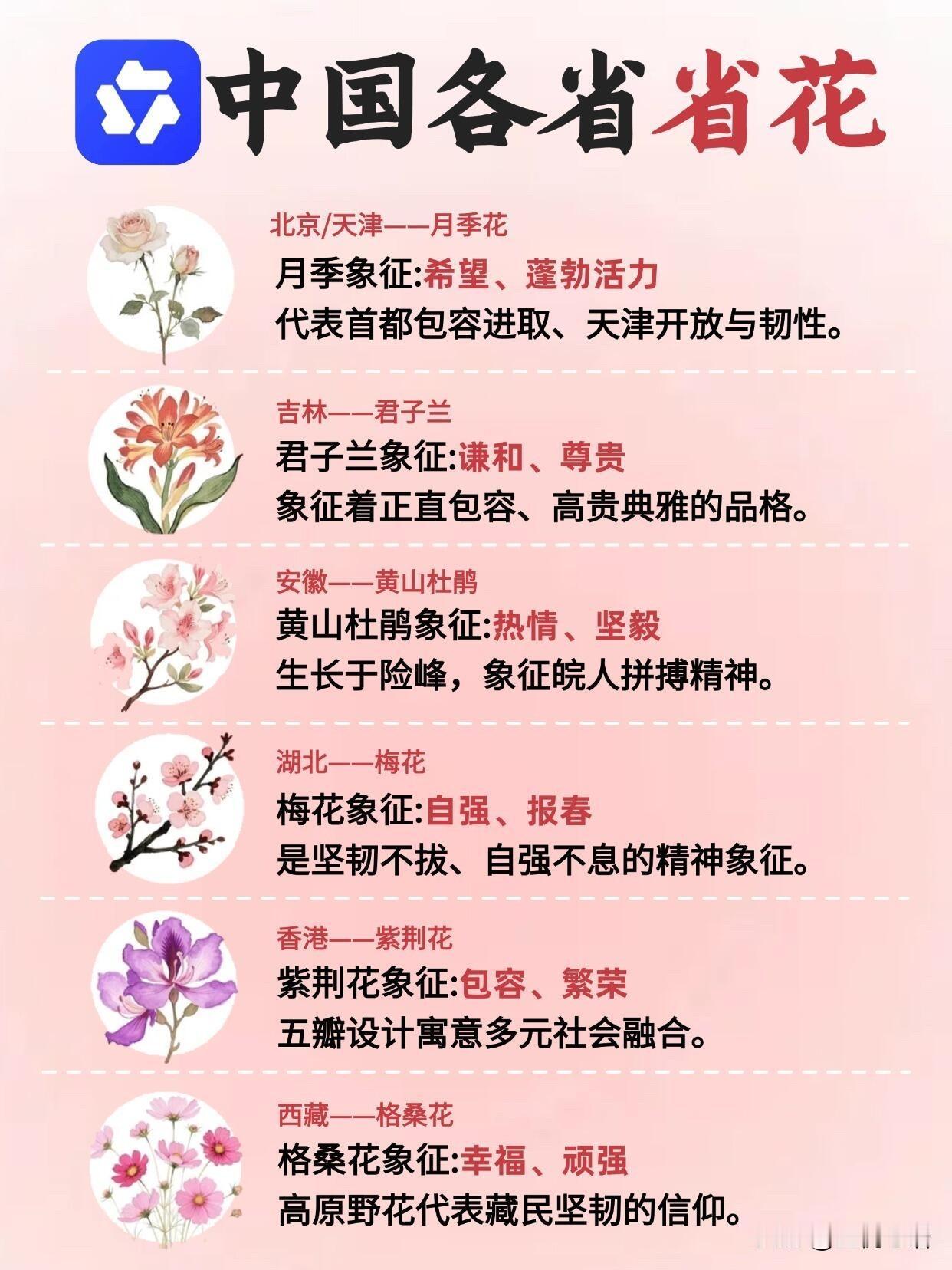 中国各省省花也太有讲究了！
你认识几个呢？
原来每个省份都有专属省花，
看完直接
