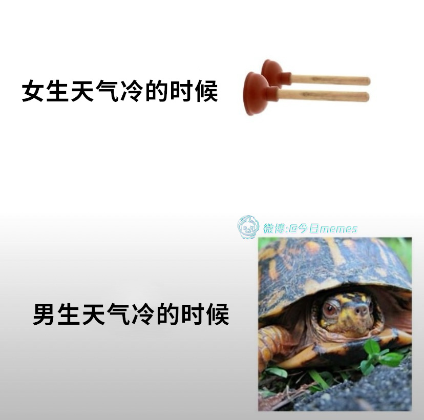 形象（9gag） 今日meme[超话]   