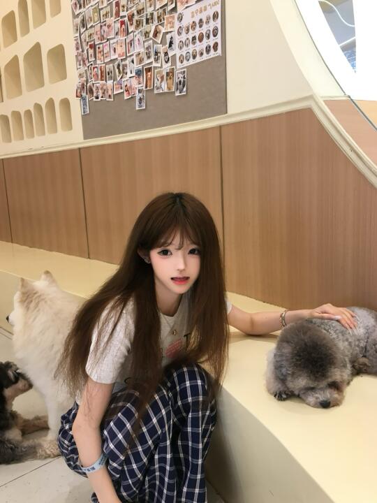 想你想你🐕