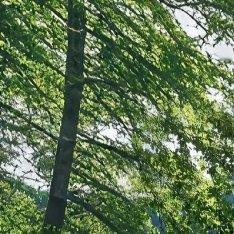 阳光信用[超话] 🌞每日一善🌞阳光信用曾经的梦想，总在走走停停的日子里渐行渐