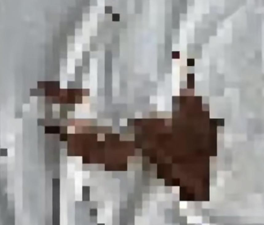 坐十几个小时的火车，本就疲惫不堪，结果因为月经突然造访，弄脏了卧铺床单，还被列车