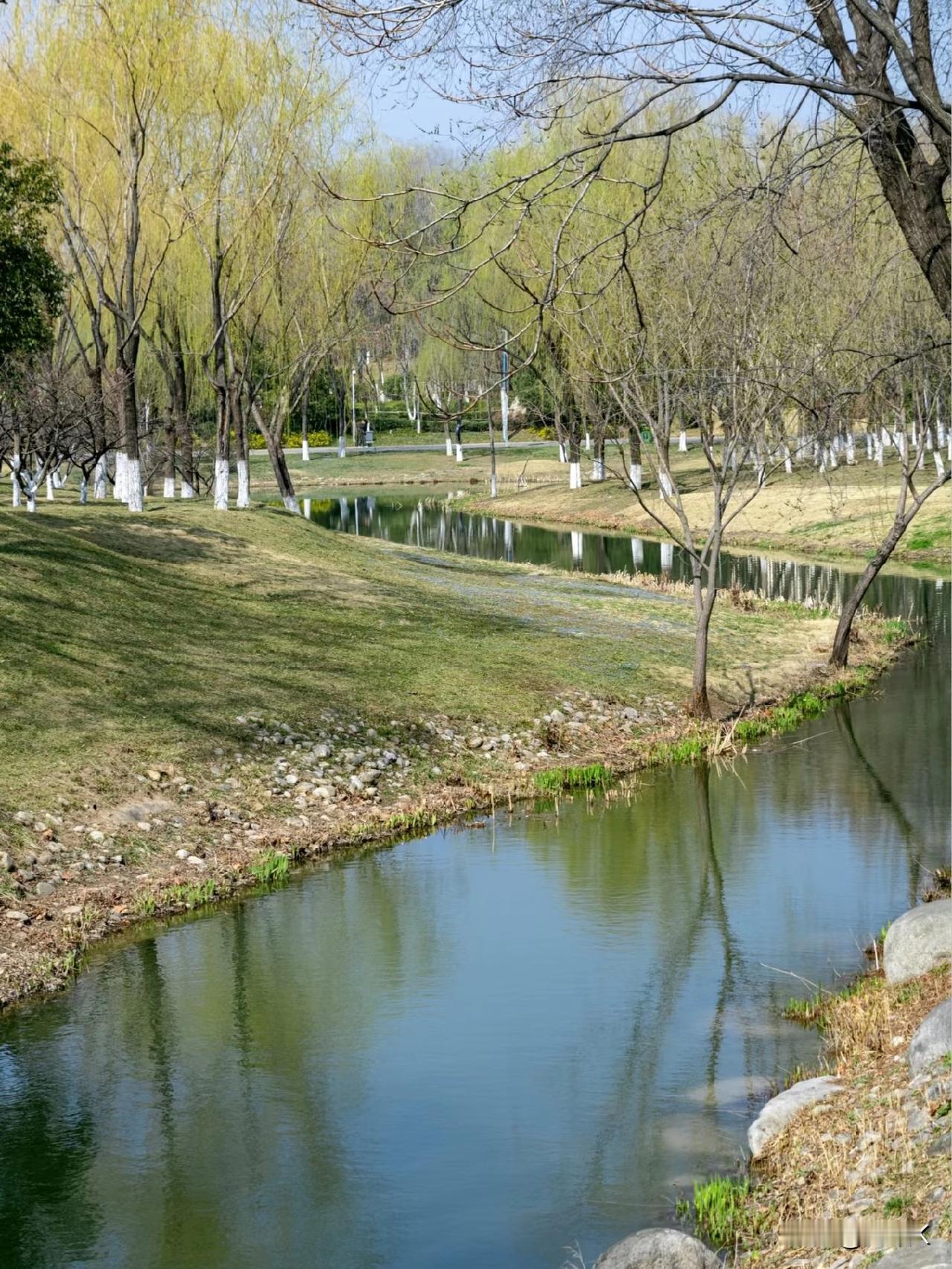 春光正好，宜踏青寻芳。城市公园、郊野花海、河畔步道、山间茶园，处处皆是温柔与浪漫