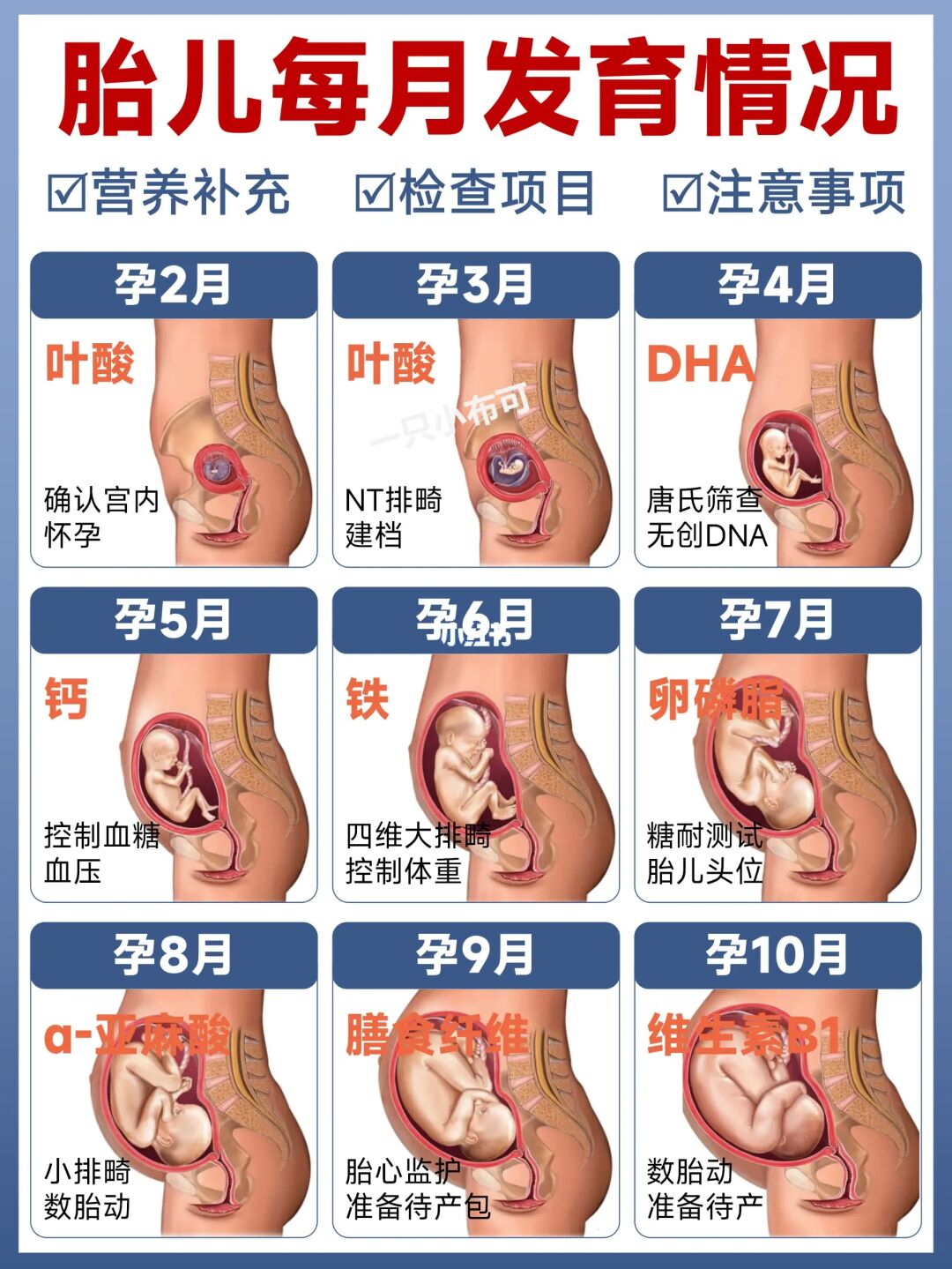 怀孕每月产检项目➕营养补充➕注意事项