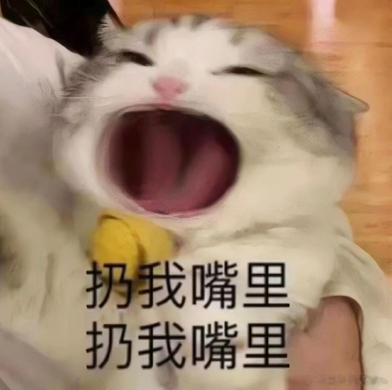 北京中餐店有游戏角色出没北京烤鸭还能这么吃 本来安安稳稳过来吃烤鸭，一抬头撞见c