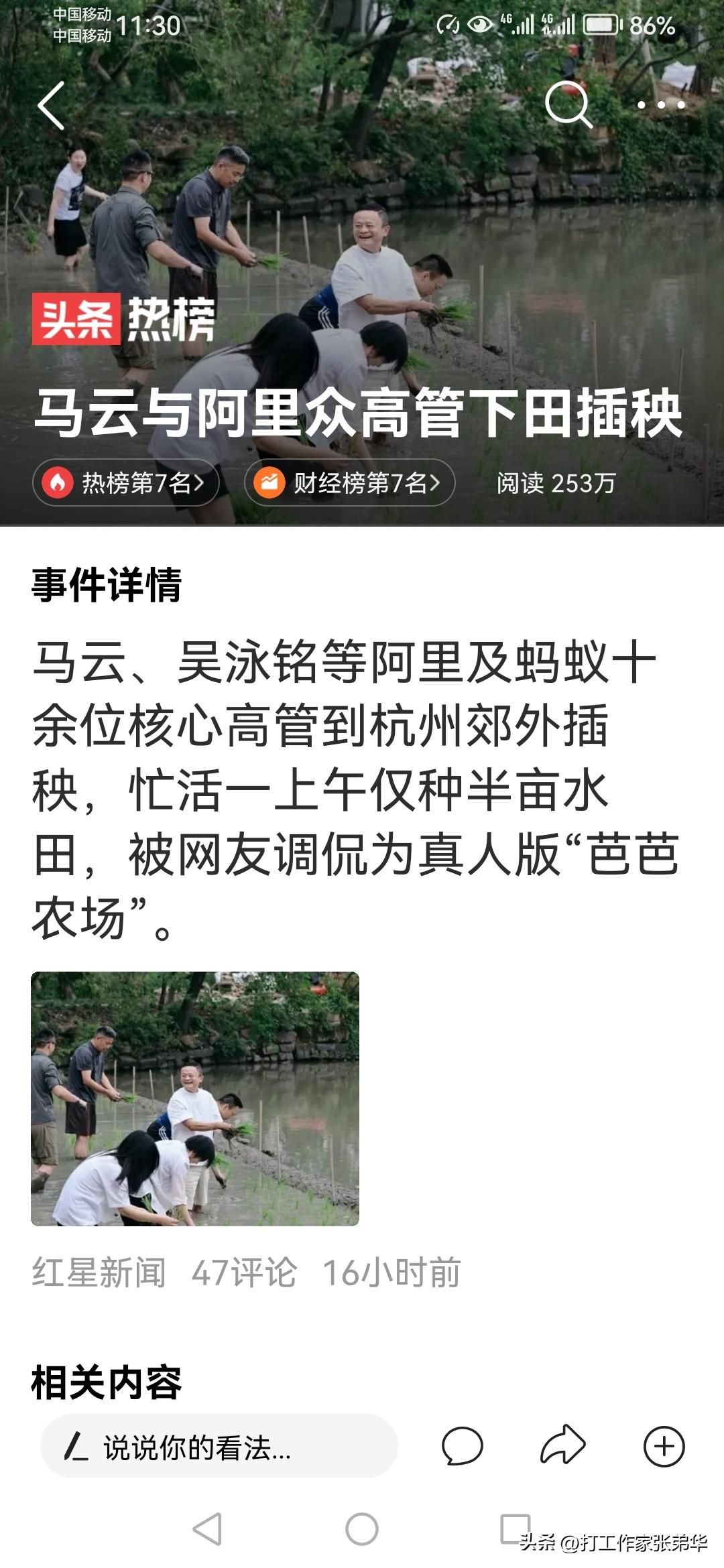 马爸爸下田插秧，我担心他们干不好，毕竟他们都是一些大老板……